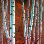 Birch Birch 150x150 Bill Higginson