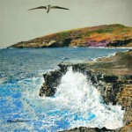 hawaii splash hawaii splash 150x150 Raymond Chow
