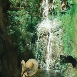 hawaii waterfall hawaii waterfall 150x150 Raymond Chow
