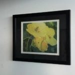 Capulet Art Gallery - custom framing - flower yellow